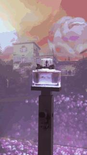 为了爱你可以迁就一切,为了爱你能奋不顾身吗