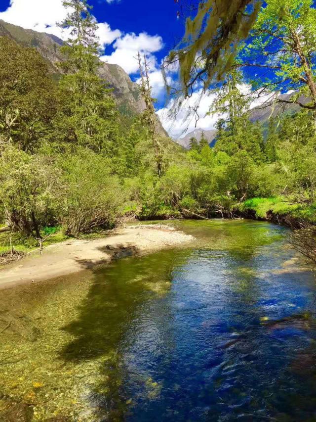 青白江九龙,九龙秘境与沿途景点