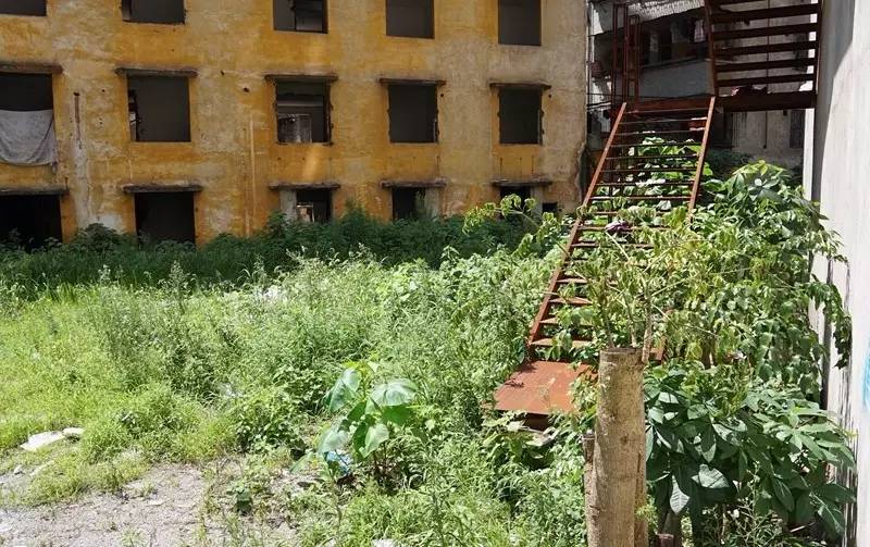 文明城曝光台垃圾乱堆乱放,创文曝光台不文明现象曝光