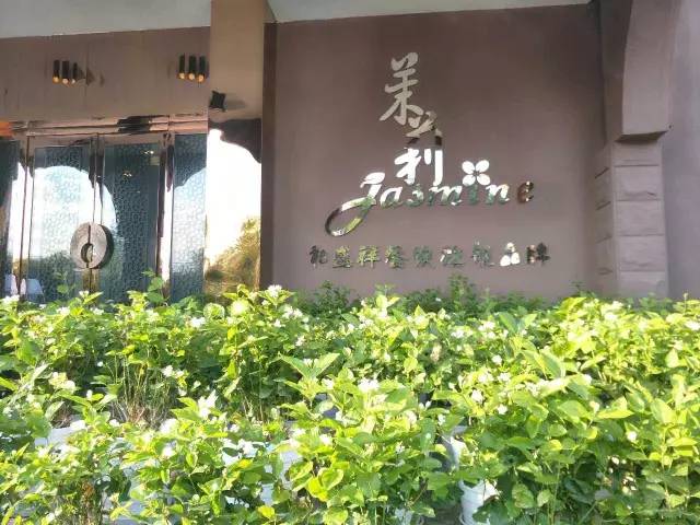 昌吉高逼格餐厅有哪些,昌吉最值得去的餐厅