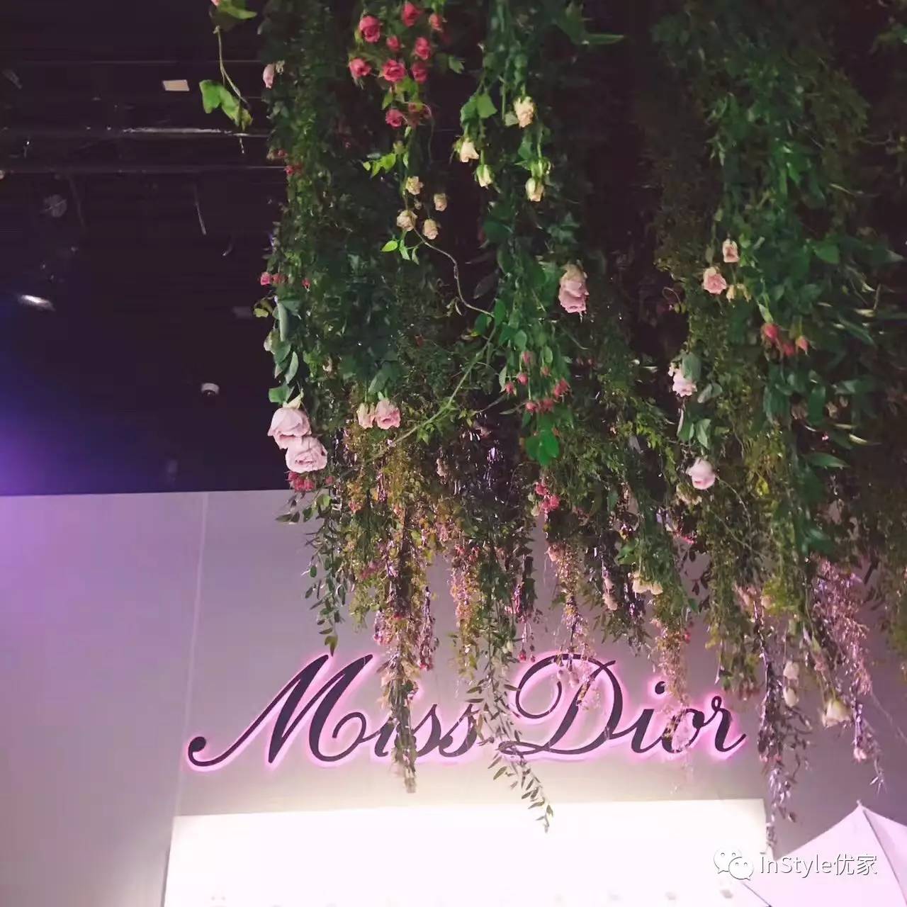 为了爱你可以迁就一切,为了爱你能奋不顾身吗