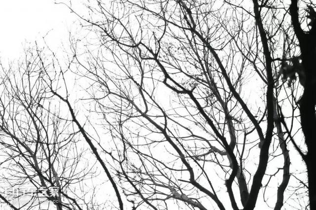 喜德盛山地车最轻量版,超轻自行车《喜德盛》