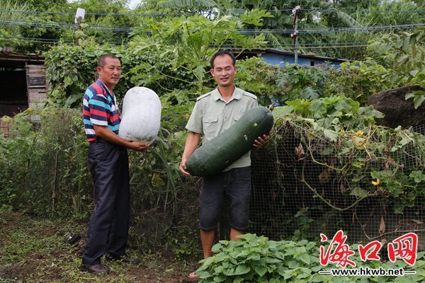 小额贷款创业投资,海口50万免息创业贷