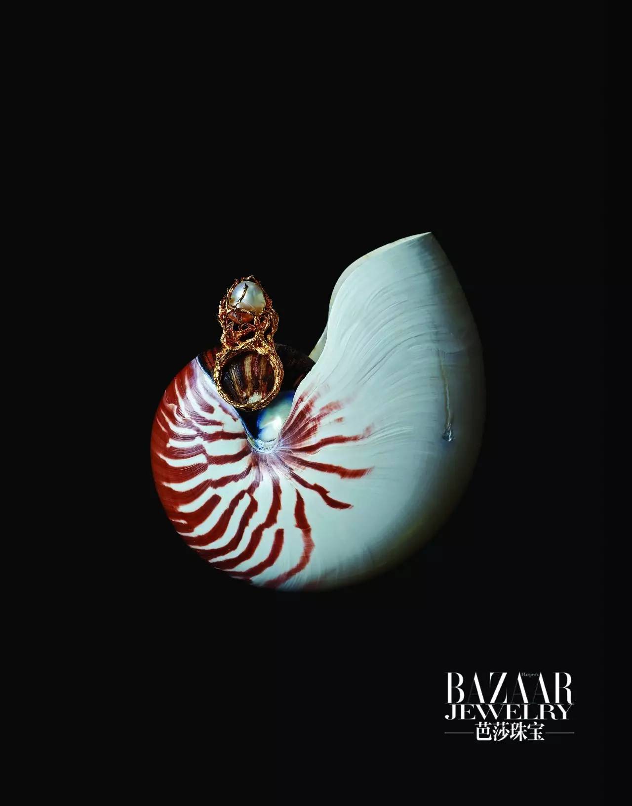 炫美图｜热到和太阳肩并肩？芭珠姐带你去海底捞珍珠！