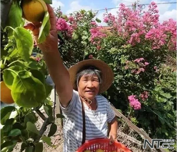 启东有潜力吗,启东最吸引人的地方