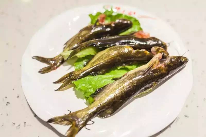 全场5折火锅,全场火锅菜品8.8折