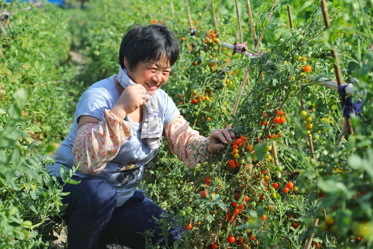「城事」热浪滚滚仍坚守他们在浦东迎接着“烤”验→