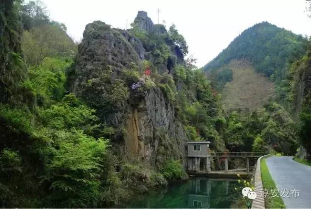 淳安海拔最高民宿,浙江海拔1000米以上的民宿