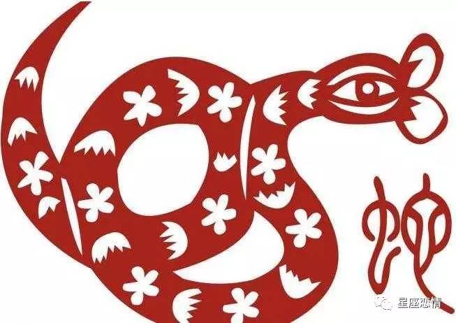 最适合创业的生肖,适合创业的生肖女