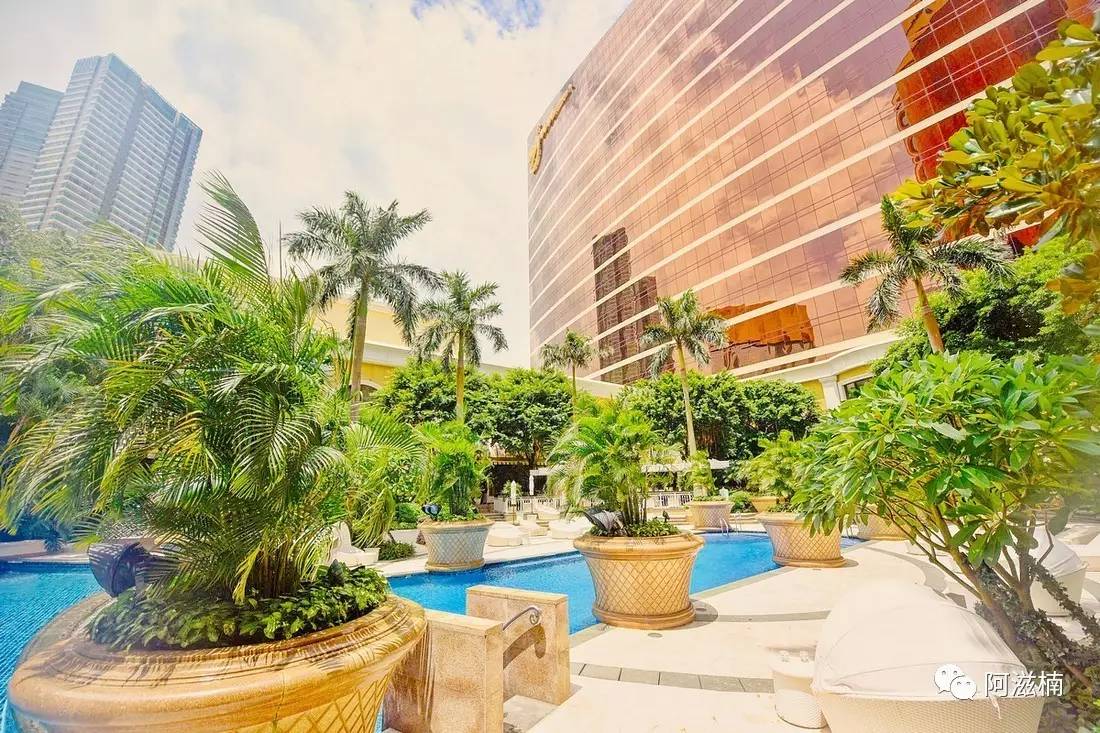 永利先生的宝藏，连空气中都带着米其林的味道