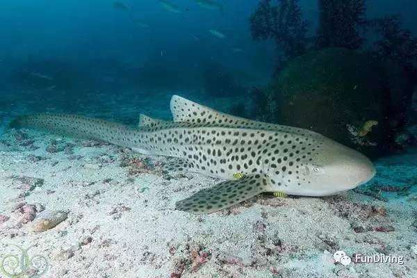 船宿推荐及价格,船宿推荐