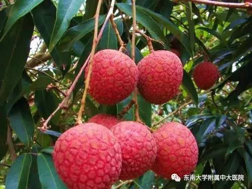 水果性格对照表,喜欢的水果判断性格测试