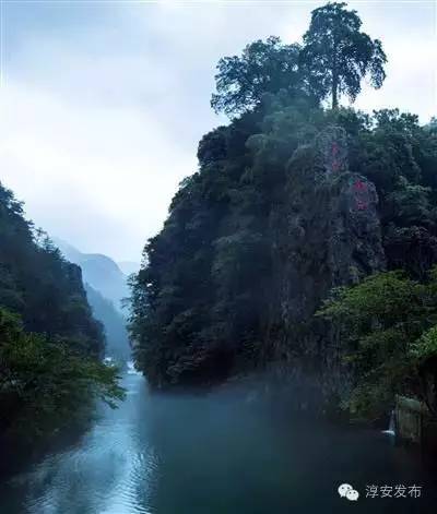 淳安海拔最高民宿,浙江海拔1000米以上的民宿