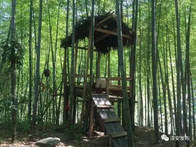 淳安海拔最高民宿,浙江海拔1000米以上的民宿