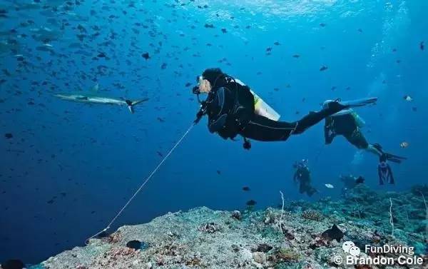 船宿推荐及价格,船宿推荐