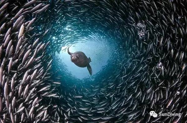 船宿推荐及价格,船宿推荐