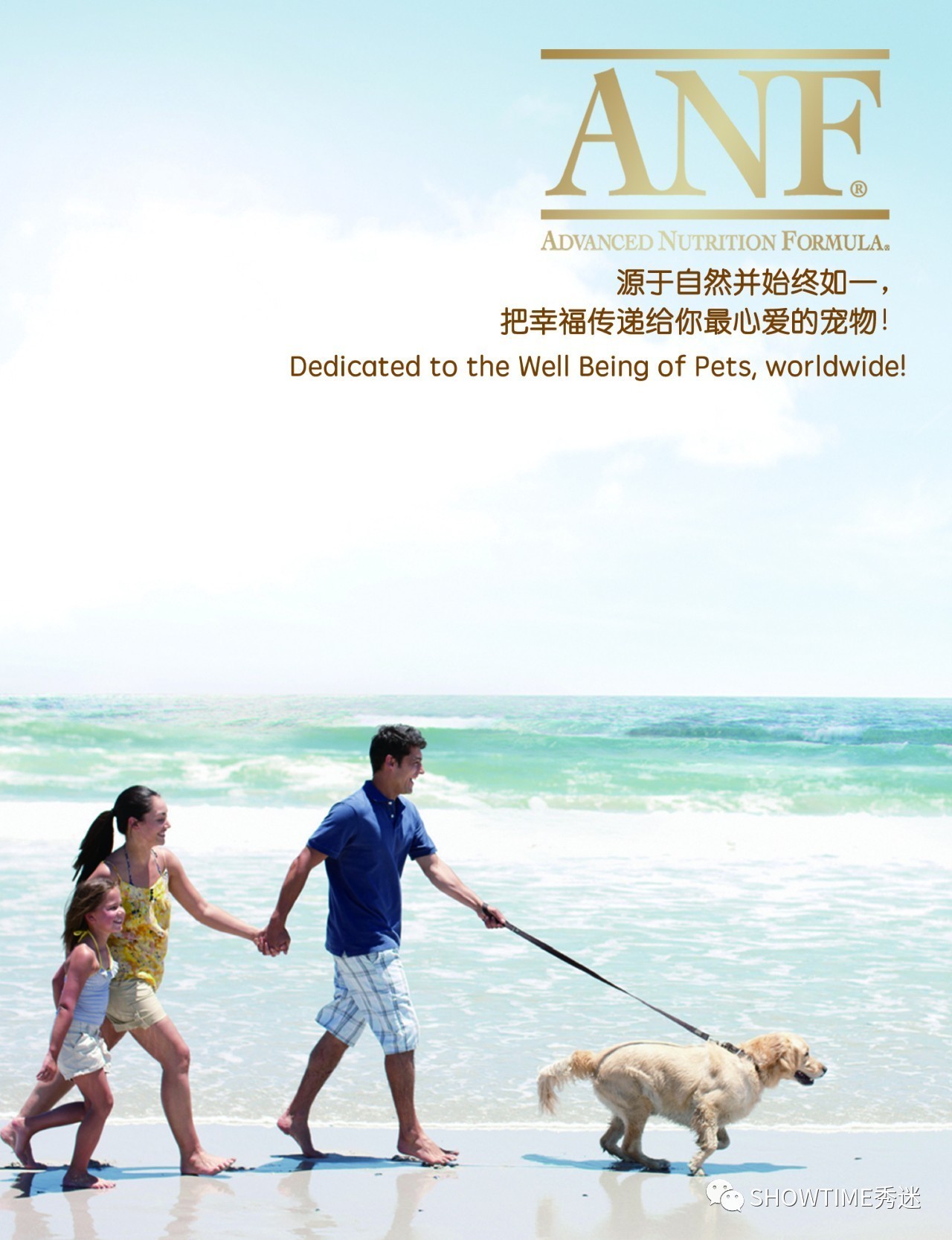 狗粮品牌系列展示设计,狗粮宣传设计