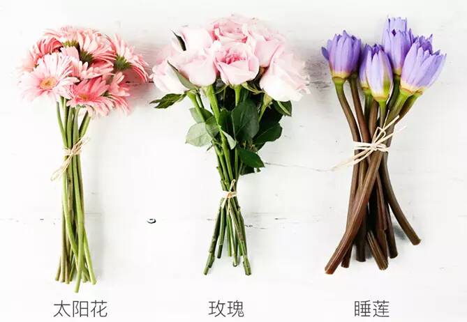 成都好看便宜花店,成都有哪些好的花店