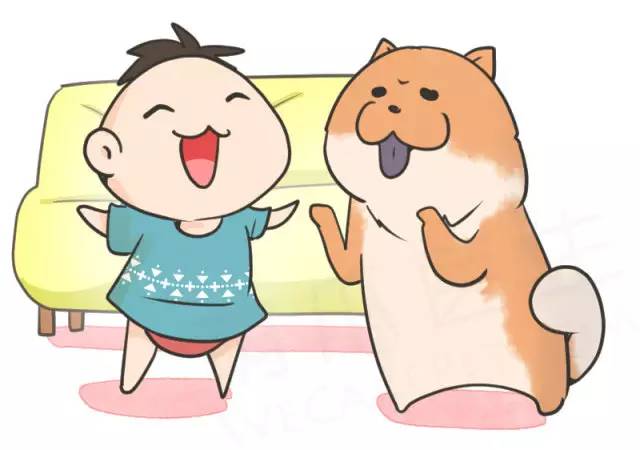 中华名犬唯一上榜的犬,中国顶级中华名犬猎犬