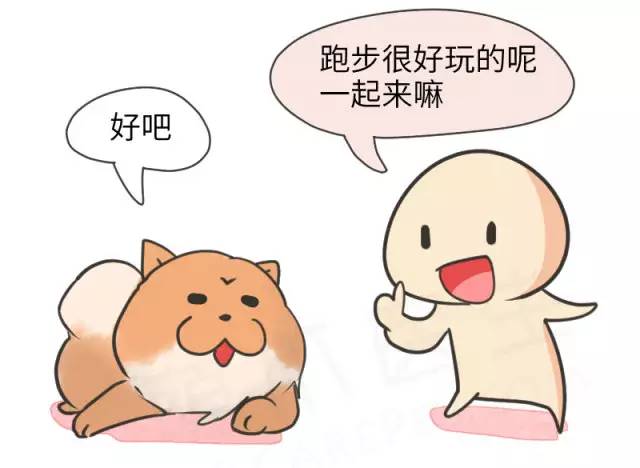 中华名犬唯一上榜的犬,中国顶级中华名犬猎犬