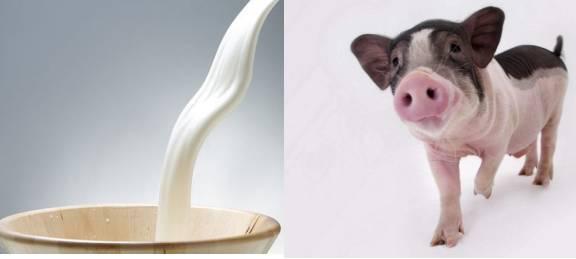 炎症警惕,炎症了