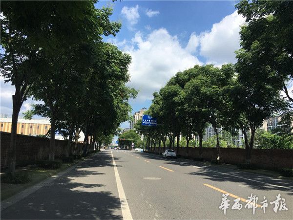 成都双流东升土拍最新,双流最新土拍信息