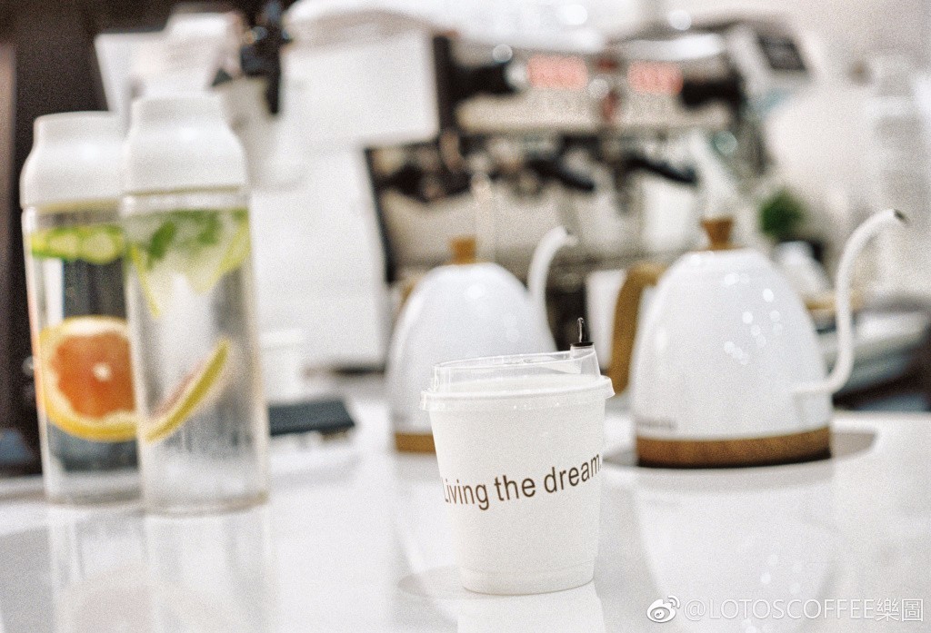 盛夏时光，相遇在菱角湖街角的北欧冷情咖啡店