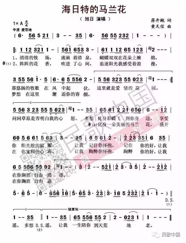 旭日《海日特的马兰花》,纯净悠扬,快来和草原谈个恋爱吧!|民歌中国·联星计划