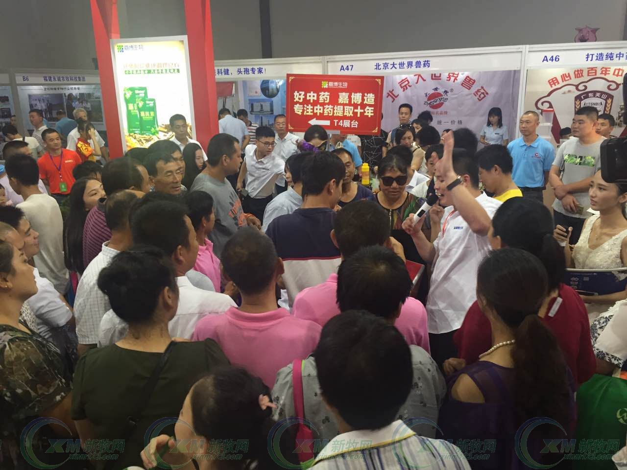 齐鲁动保李相钊,齐鲁动保猪瘟疫苗怎么样