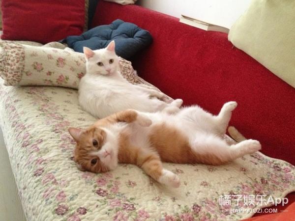 papi酱婚姻给女人带来了什么,美貌与才华于一身的网红papi酱