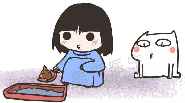 喵星人为什么剃毛,喵星人为什么会乱撒尿