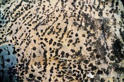 津北有奇观,10亿年地层上的“万卷史书”