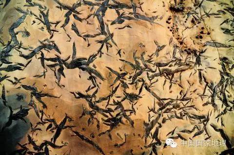 津北有奇观,10亿年地层上的“万卷史书”