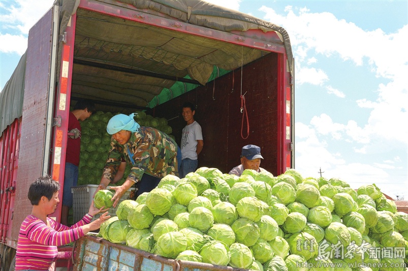 促进农民增收农业增效,商都县乡村振兴最新情况