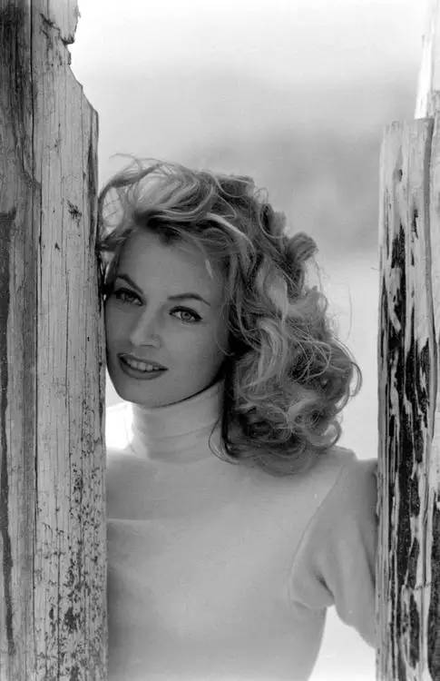 保证不提小李子，你还记得这些刚刚逝去的巨星面孔吗？|VerySpecial