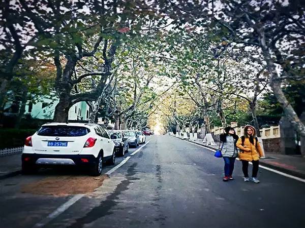 城事|青岛人都不知道，原来八大关还有这么大的秘密