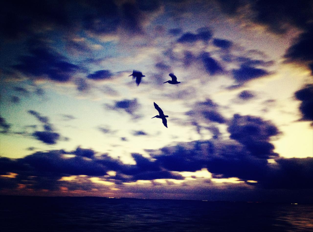 “那时自杀都没死成，现在每天都像重生”|8万字粉丝回复，21个真实故事:TheSurvivors