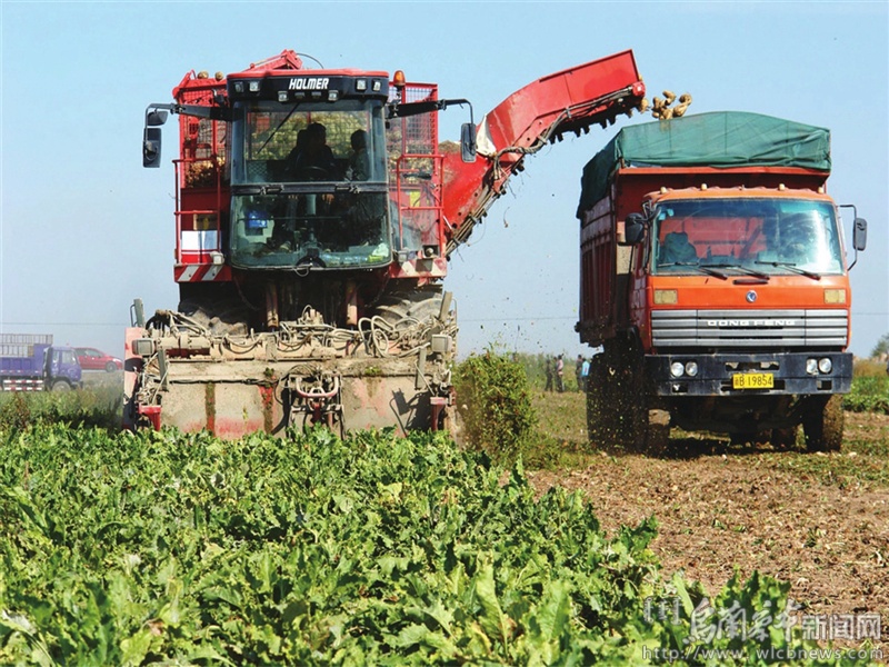 促进农民增收农业增效,商都县乡村振兴最新情况