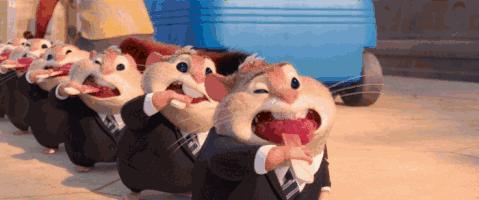 好想来一只爪爪冰棍啊,我一定是疯了!