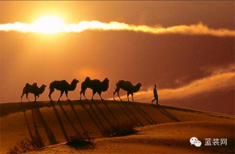 姑娘带你游西安,妹子带你逛西安