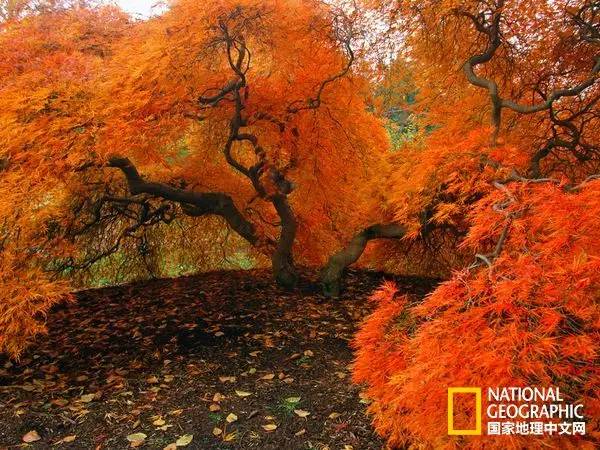 中美旅游年持续几天,2022年中美旅游几月份开始