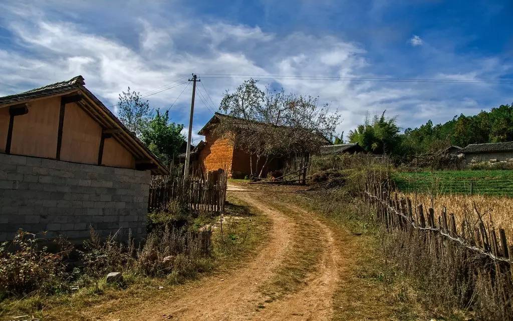 回乡偶书之一离别家乡,回乡偶书简介及感悟