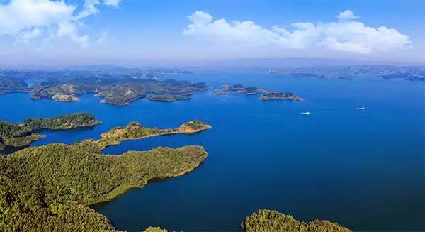 循香识味赏景尝鲜｜看，鄂西北的山珍催促着我们追寻食物的脚步