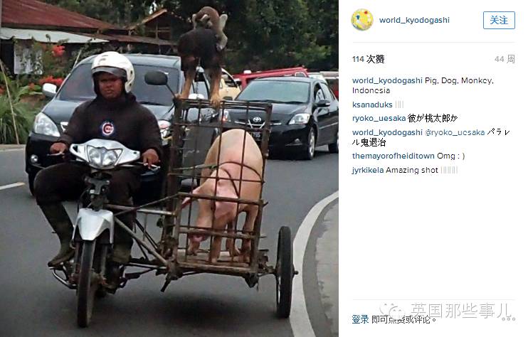 他骑自行车打造出这部横跨亚欧大陆的甜品集... 睡前千万不要点