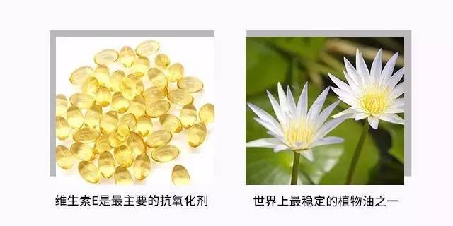 美番福利社｜口碑超赞，大家都想回购的超好用口红又来啦！