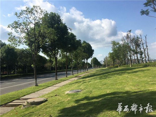 成都双流东升土拍最新,双流最新土拍信息