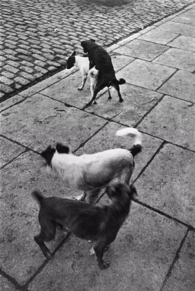 布列松摄影作品赏析,布列松经典摄影作品中国