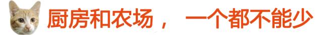 太热了夏天猫咪如何补水消暑,夏天猫咪不热吗