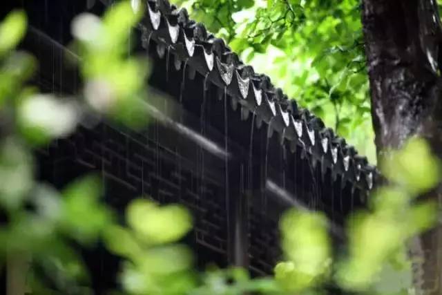 咫尺vs沧桑:一个95后女生与南京园林的穿越对话