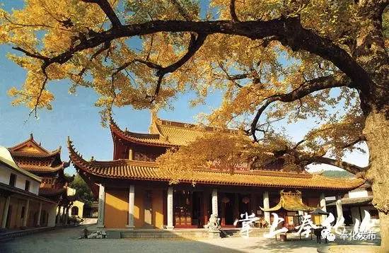 尘世喧嚣寻一方净土,雪窦寺禅修之旅